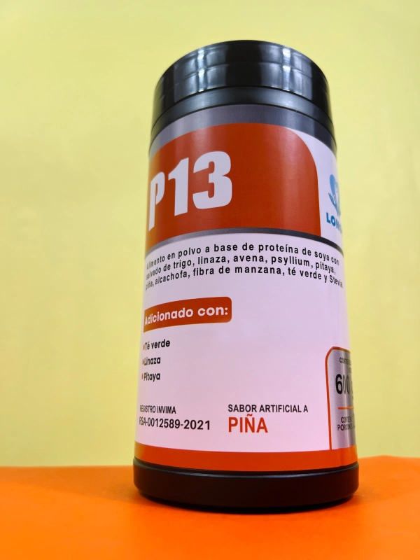 P13 PRESENTACIÓN