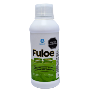Fuloe